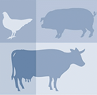 BOUCHERIE PATRICK & ELS